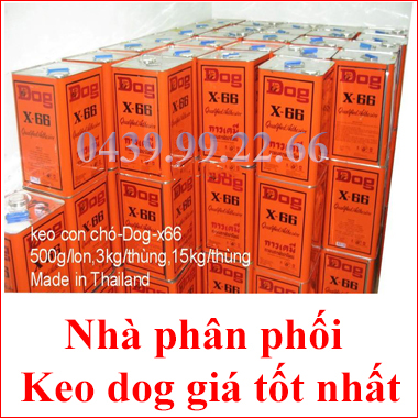 Đại lý phân phối keo dog X66 tại Hà Nội